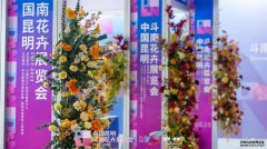 147个新品种发布！昆明斗南花卉展览会聚焦花卉育种与发展